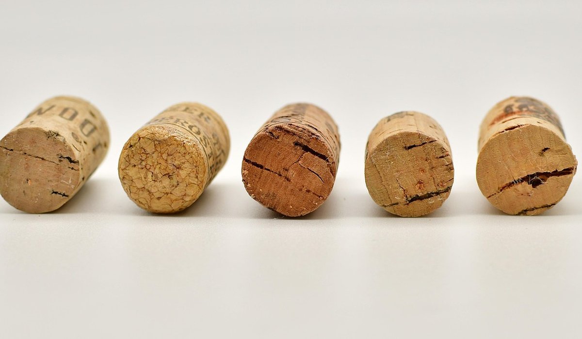Planning a Self-Guided Wine Route Through Chianti