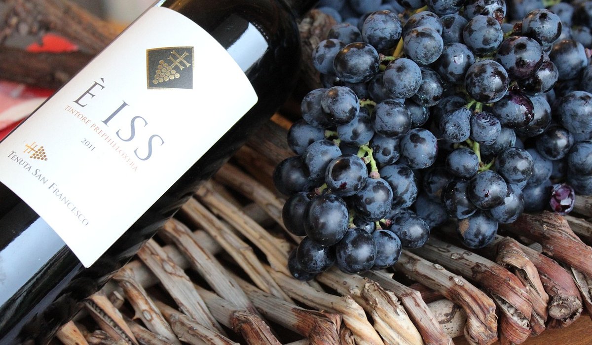 A Practical Guide to Wine Tasting in Montalcino