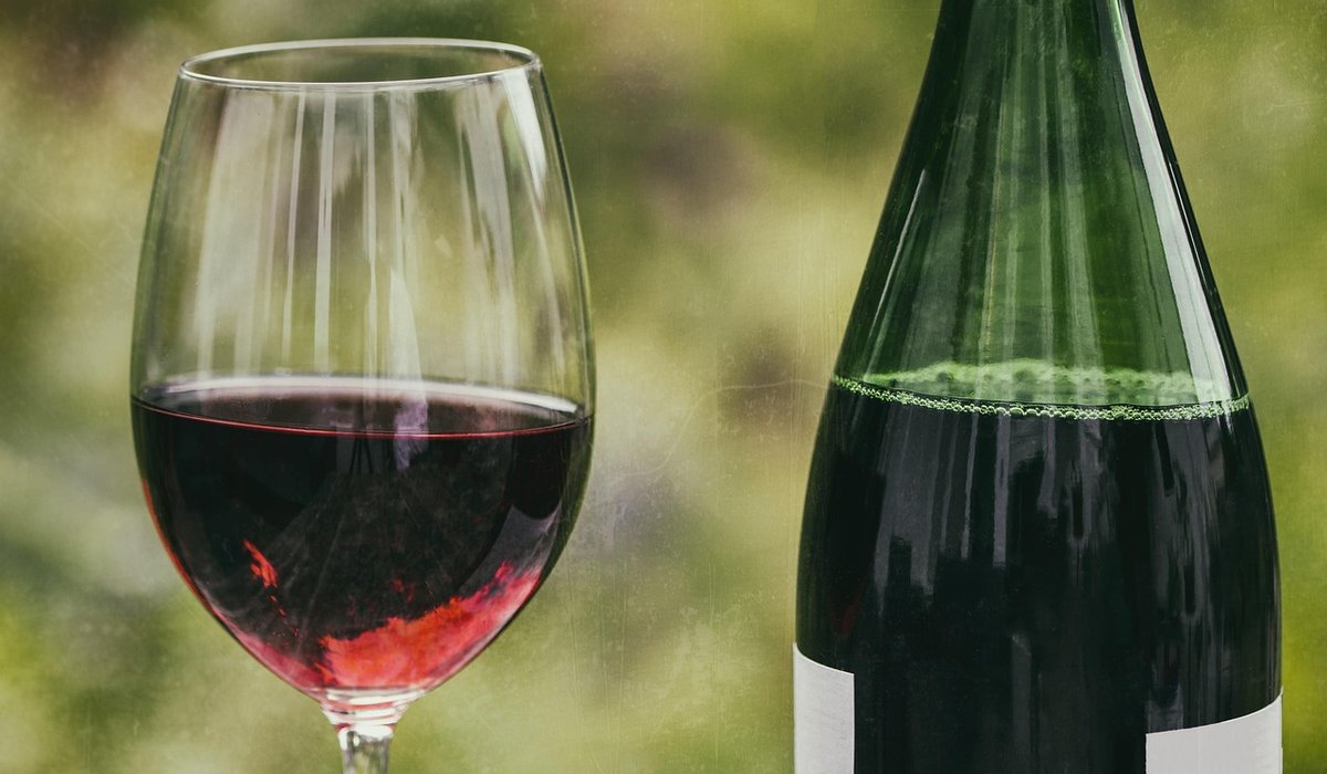 Planning a Vineyard Visit in Piedmont Without the Crowds